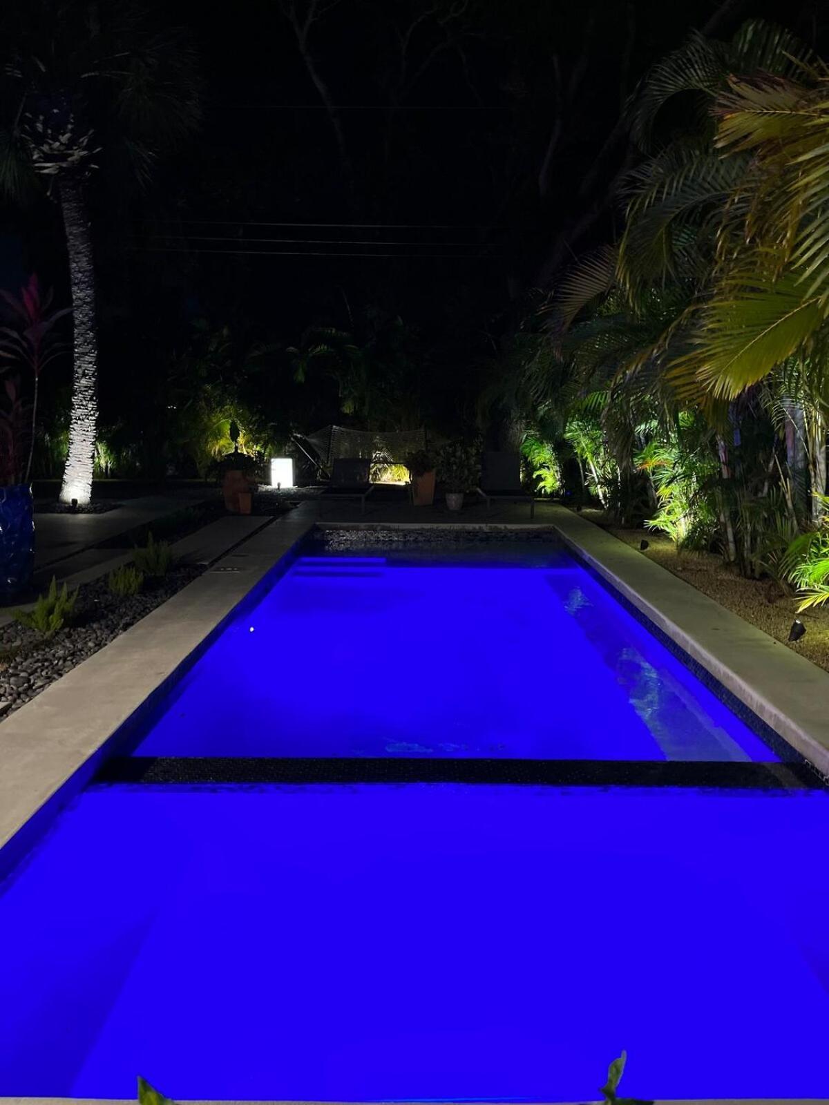 Hiddengem In Charming Sarasota, Florida Villa Екстериор снимка